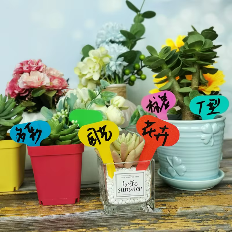 Étiquettes de jardin, 100 pièces, Classification des plantes, signe de tri, billet, plaque d'écritur