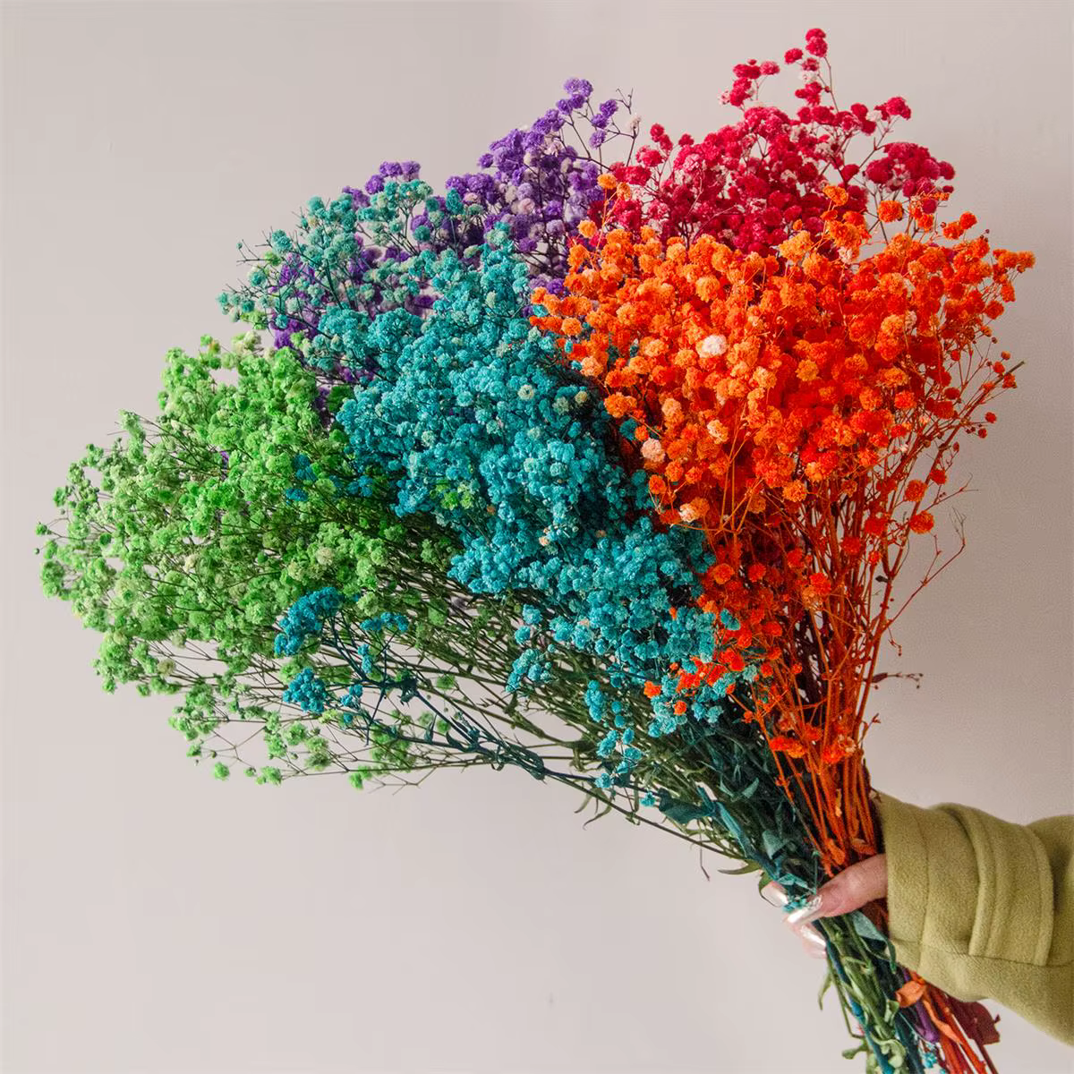 Mélange de fleurs séchées Gypsophila pour bébé, 80g, Bouquet de fleurs séchées, style Boho, accessoi