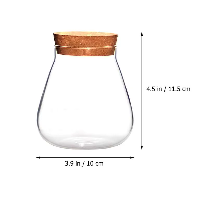 Bocaux de Terrarium en Verre avec Bouchon de Liège, Kit de Rangement pour Plantes Décoratives, Fille