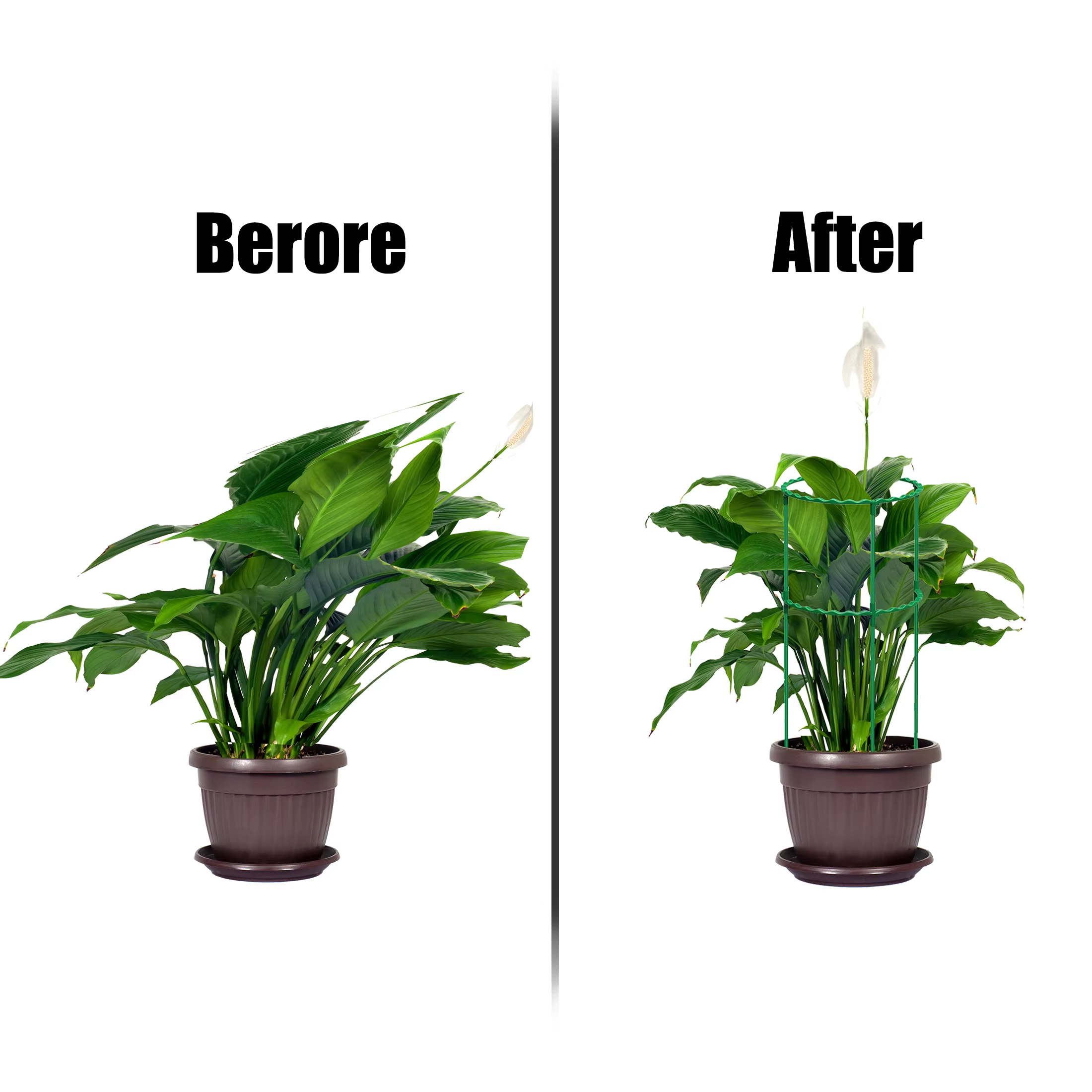 Support de vigne grimpante pour plantes en pot, cadre de Support en acier revêtu de plastique pour f