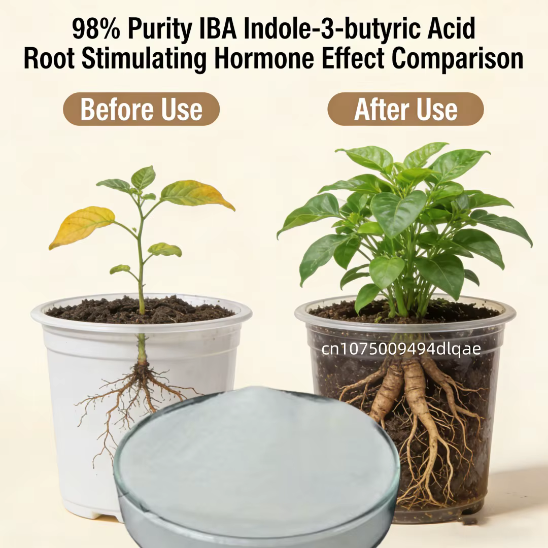 Poudre d'Enracinement à 98% de Pureté IBA Acide Indole-3-butyrique |   Régulateur de croissance des 