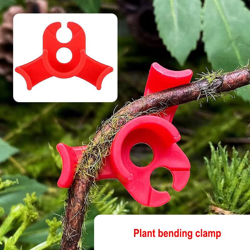 Dispositif de pliage de pinces pour plantes, 100 pièces, pour l'entraînement à basse pression, Branc