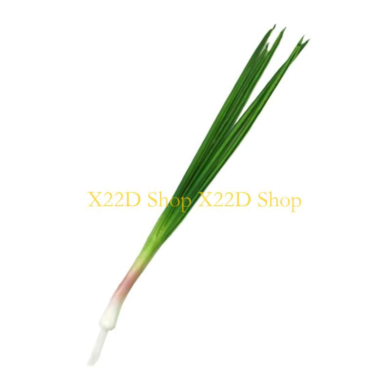 X22D simulé germes d'ail/oignons verts accrocheurs, faux modèle d'accessoires Photo Restaurant pour 