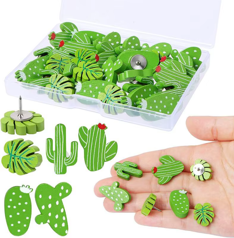 Punaises en bois pour plantes et Cactus, 20 pièces, avec boîte, punaises décoratives en forme de feu