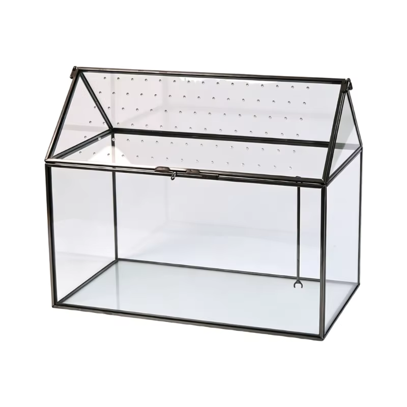 Boîte terrarium en verre pour exposition plantes, conception en verre transparent, couvercle à ouver
