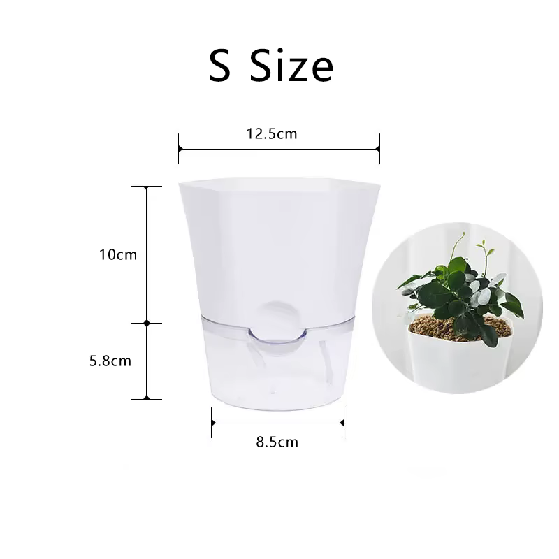Mini pot de fleur hydroponique pour la décoration de la maison, pot de plantes vertes sans sol, plas