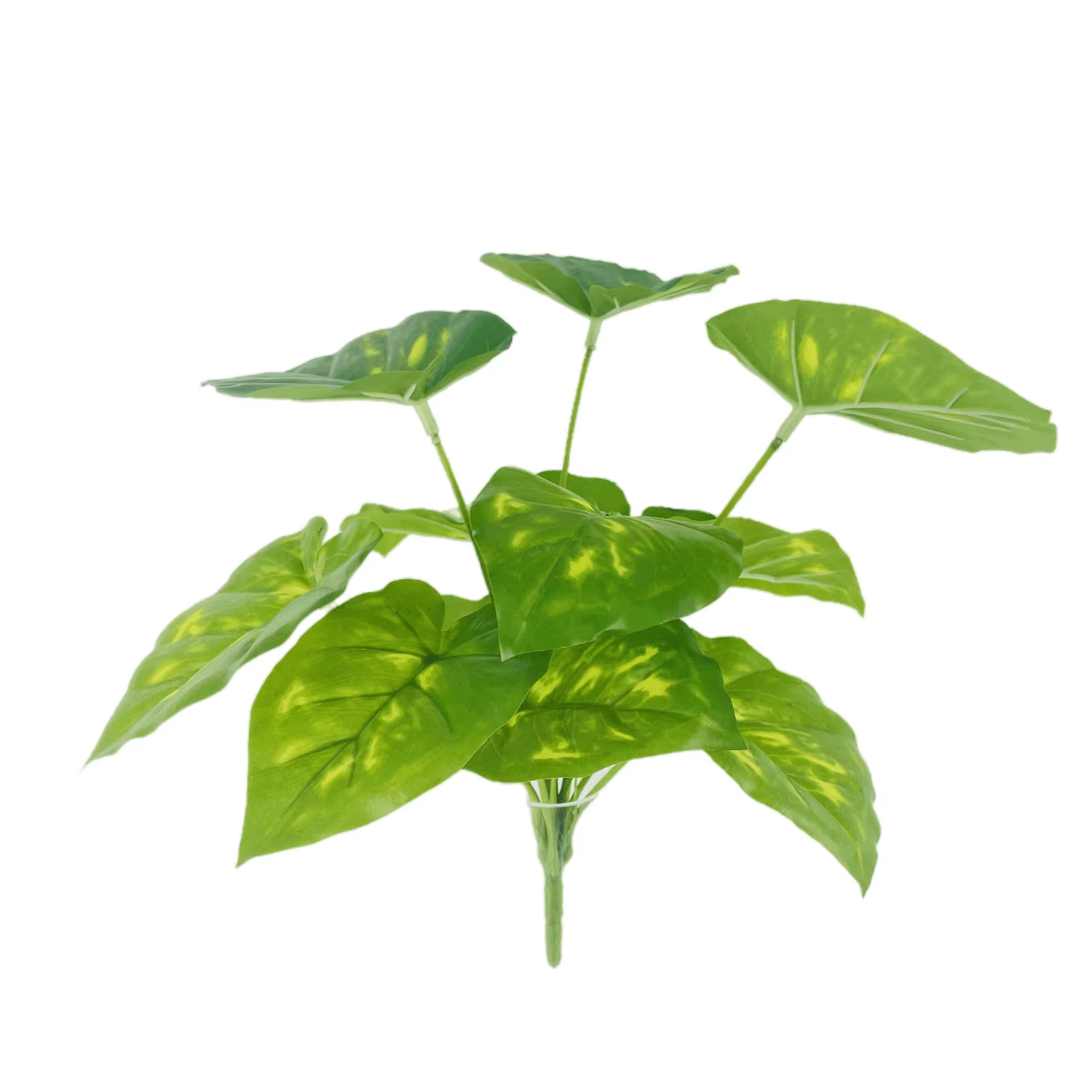 Plantes Vertes Artificielles en Plastique, Feuilles Neutres d'Eau, Simulation de Cuir oral elu, Déco