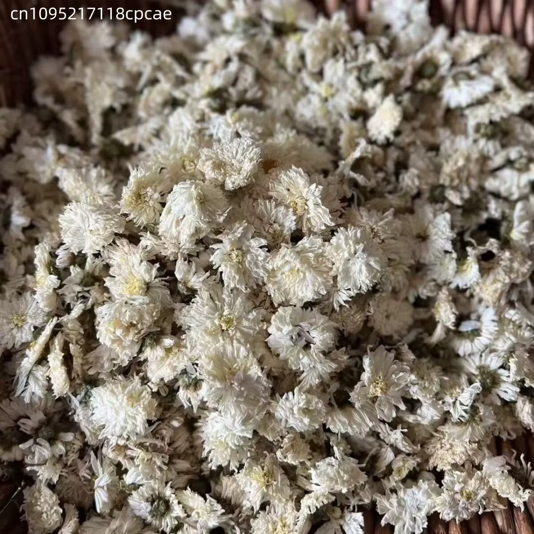 Fleurs séchées de pissenlit naturel pur, chrysanthème blanc pour la fabrication de savons, la fabric
