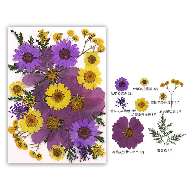 Fleur séchée pour bricolage, moule en résine, remplissages exécutifs, vraies feuilles de fleurs de M