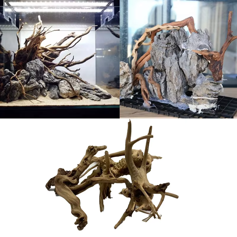 Tronc d'arbre naturel en bois flotté, plante d'aquarium, décoration en bois, ornement d'aquarium, ac