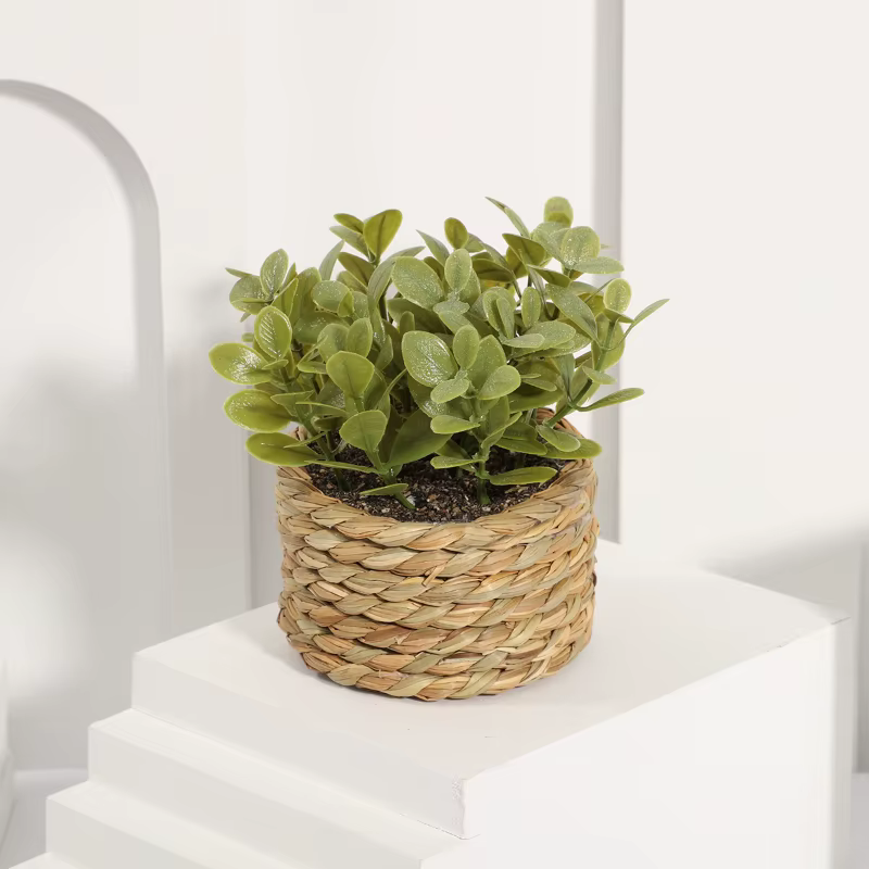 Plante en Pot petites fausses plantes, décoration intérieure pour la maison, Pot décoratif pour salo