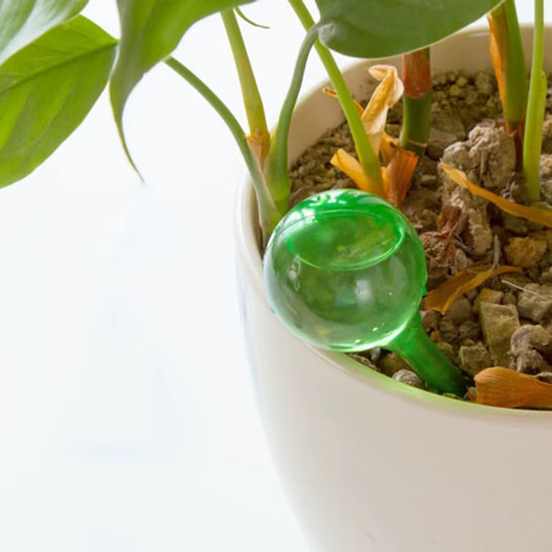 Ampoules d'arrosage automatique pour plantes, 5/12 pièces, Globes d'arrosage automatique, boules en 