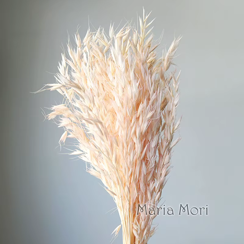 25 pièces/Fleurs naturelles conservées à sec rustique mariage bricolage Bouquets d'avoine Bouquet de