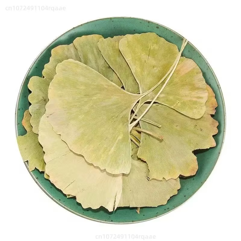 100/250/500g Feuilles de Ginkgo Biloba Séchées Naturelles Pour Remplissage de Vases, Artisanat, Arra
