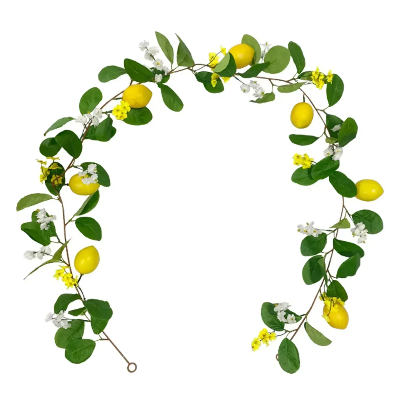 Guirlande de citron en rotin, décoration suspendue pour la maison, plante verte artificielle, fourni