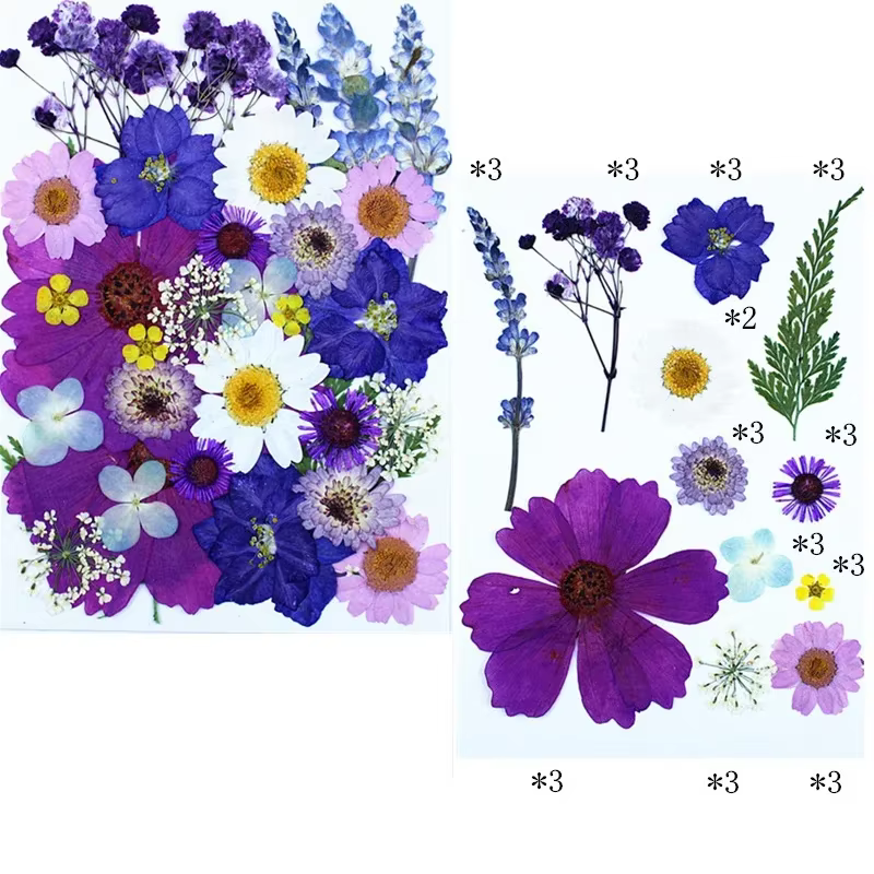 Fleurs pressées séchées, vraies plantes sèches pour bricolage, bougie d'aromathérapie, résine époxy 