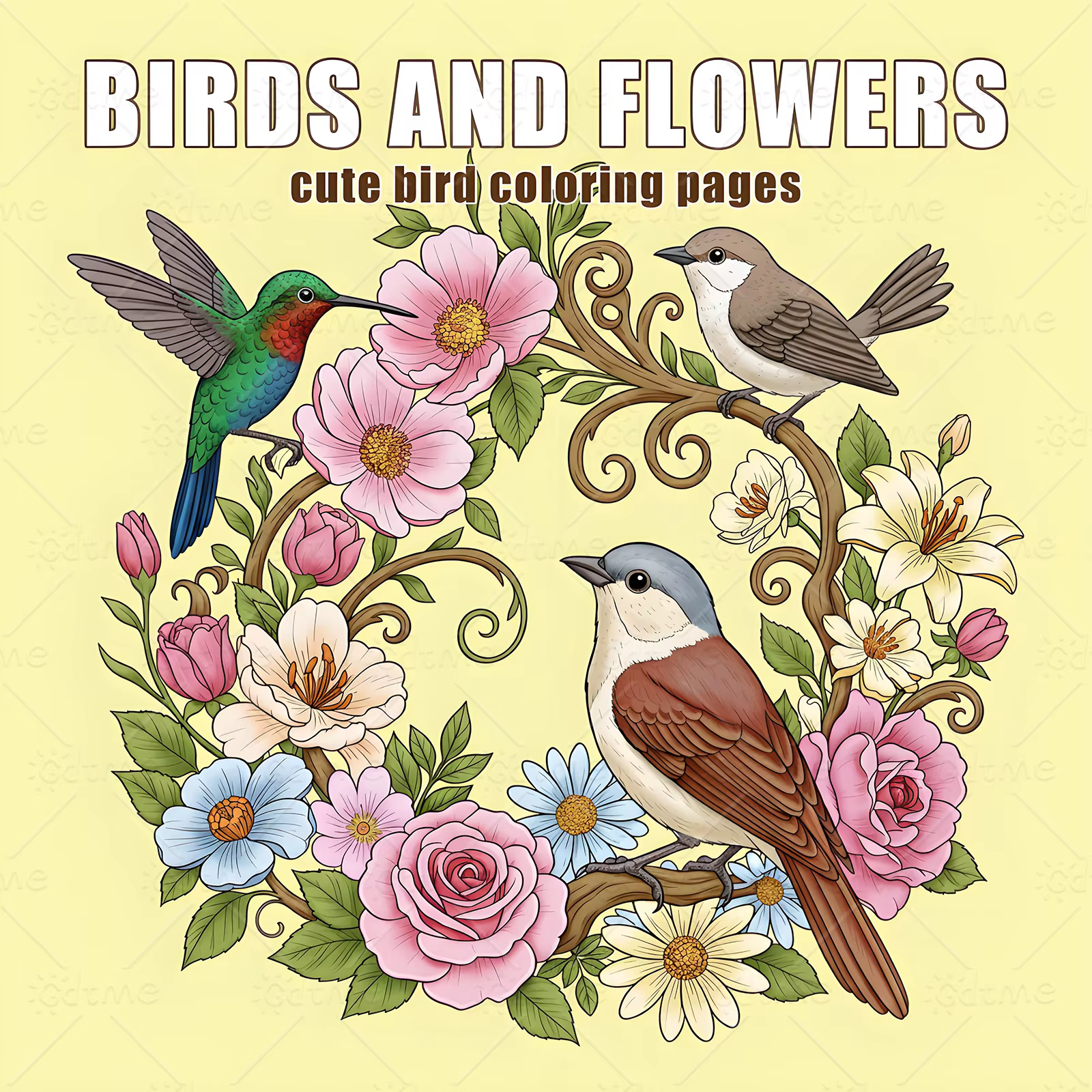 Livre de coloriage oiseaux et fleurs pour adultes et adolescents, avec des activités quotidiennes mi