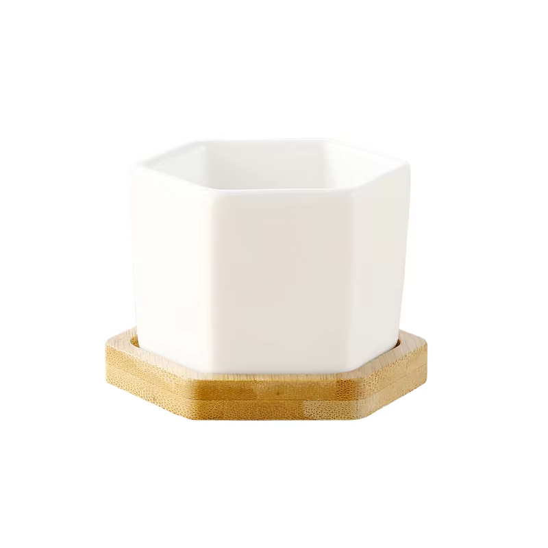 Pot de fleurs en céramique blanc hexagonal avec plateau, pot de fleurs européen, pot simple pour pla