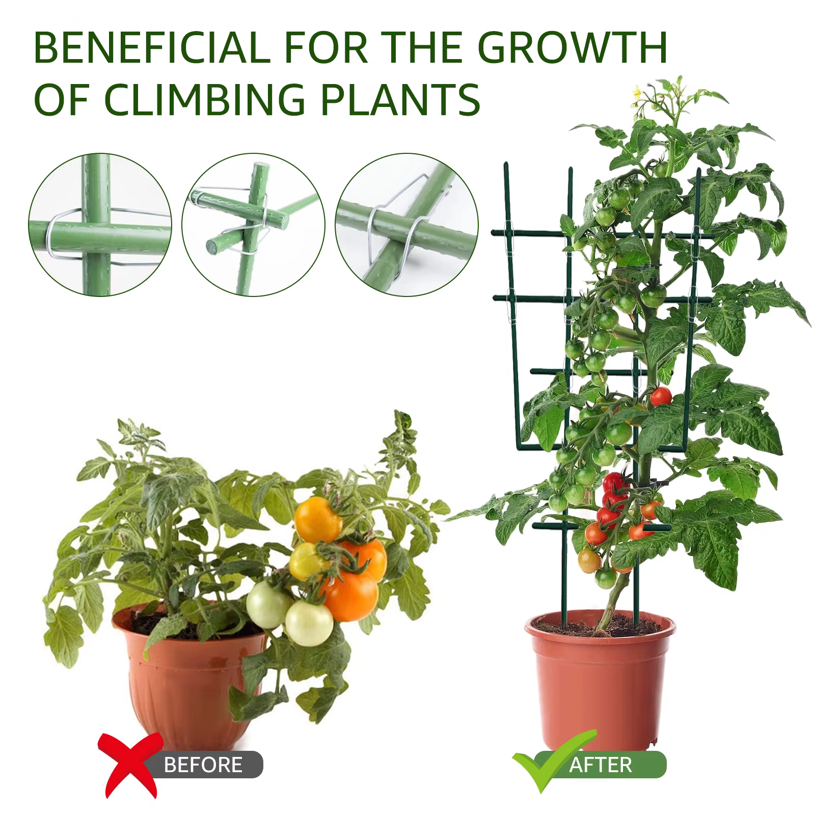 Boucles de connexion en treillis pour plantes, 50 pièces, Support de tuyau d'escalade, outil de fixa