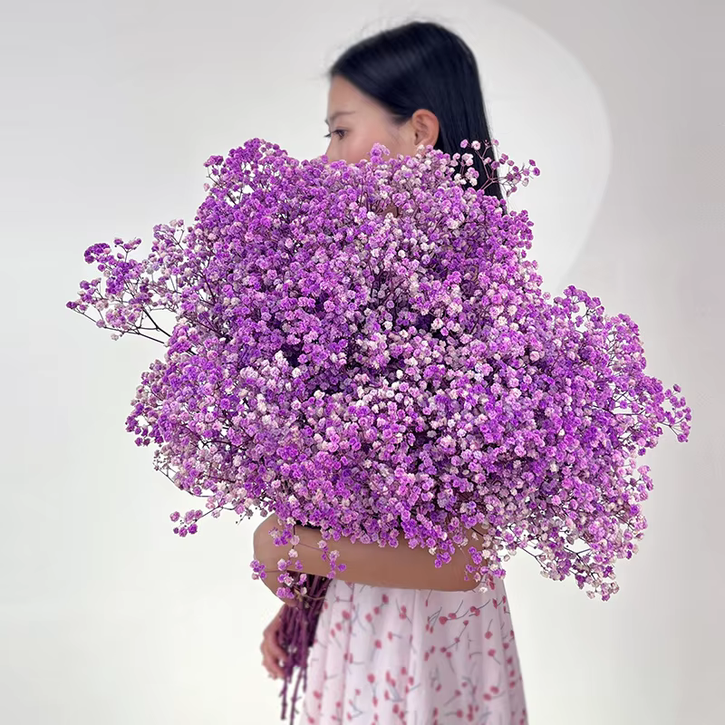 Fleurs pouvez-vous psophila Naturelles vaccées pour Bébé, Bouquet Frais, Patients de Mariage, Décora