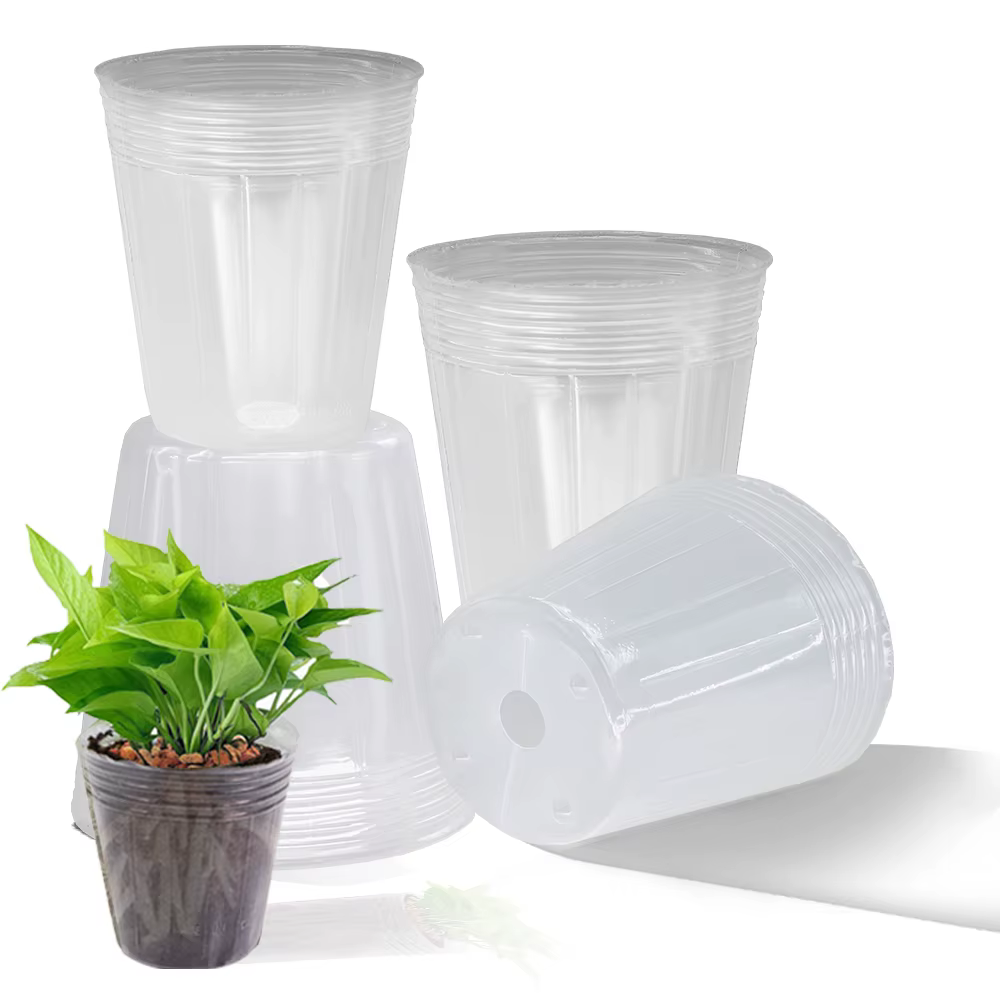 Pot de pépinière d'orchidée transparent réutilisable, 10 pièces, gobelets de Nutrition pour culture 