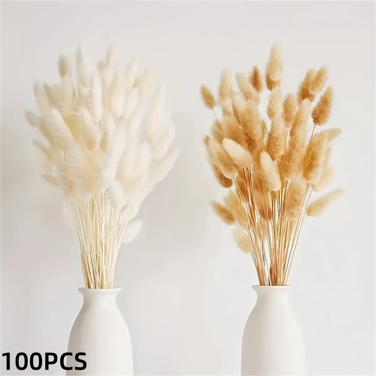 Fleurs séchées naturelles Pampas Gypsophila queue de lapin Bouquet maison salon décor fleur artifici