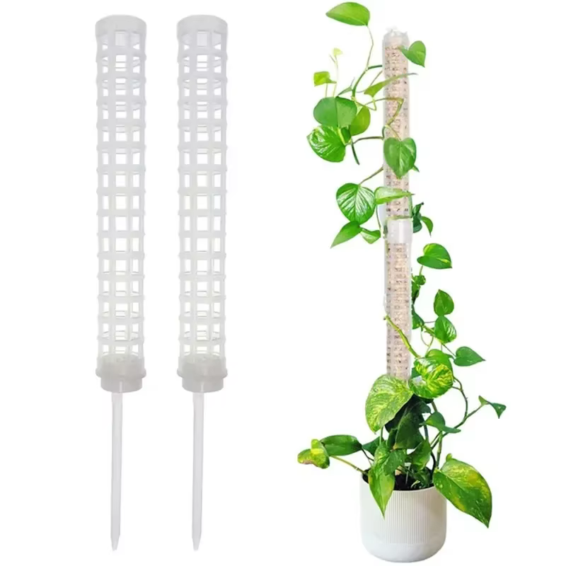 Bâton de support en treillis pour plantes, poteau de mousse en plastique, support pour Pot de plante