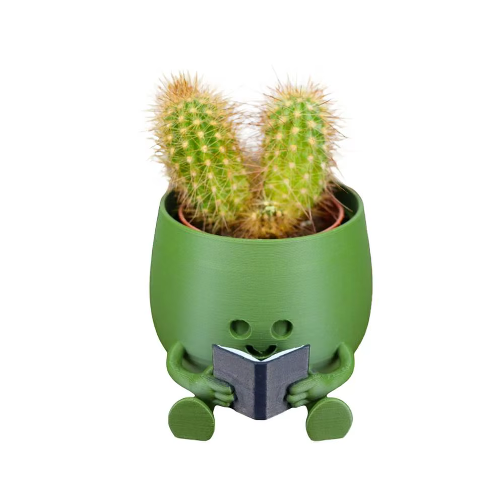 Pot de plante en résine avec visage souriant, pots succulents, jardinière de tête de fleur pour inté