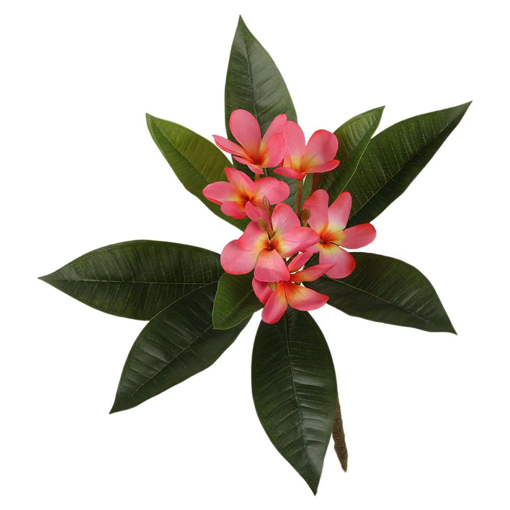 Fleurs de Plumeria artificielles au toucher réel, bricolage avec feuilles vertes, Simulation de bran