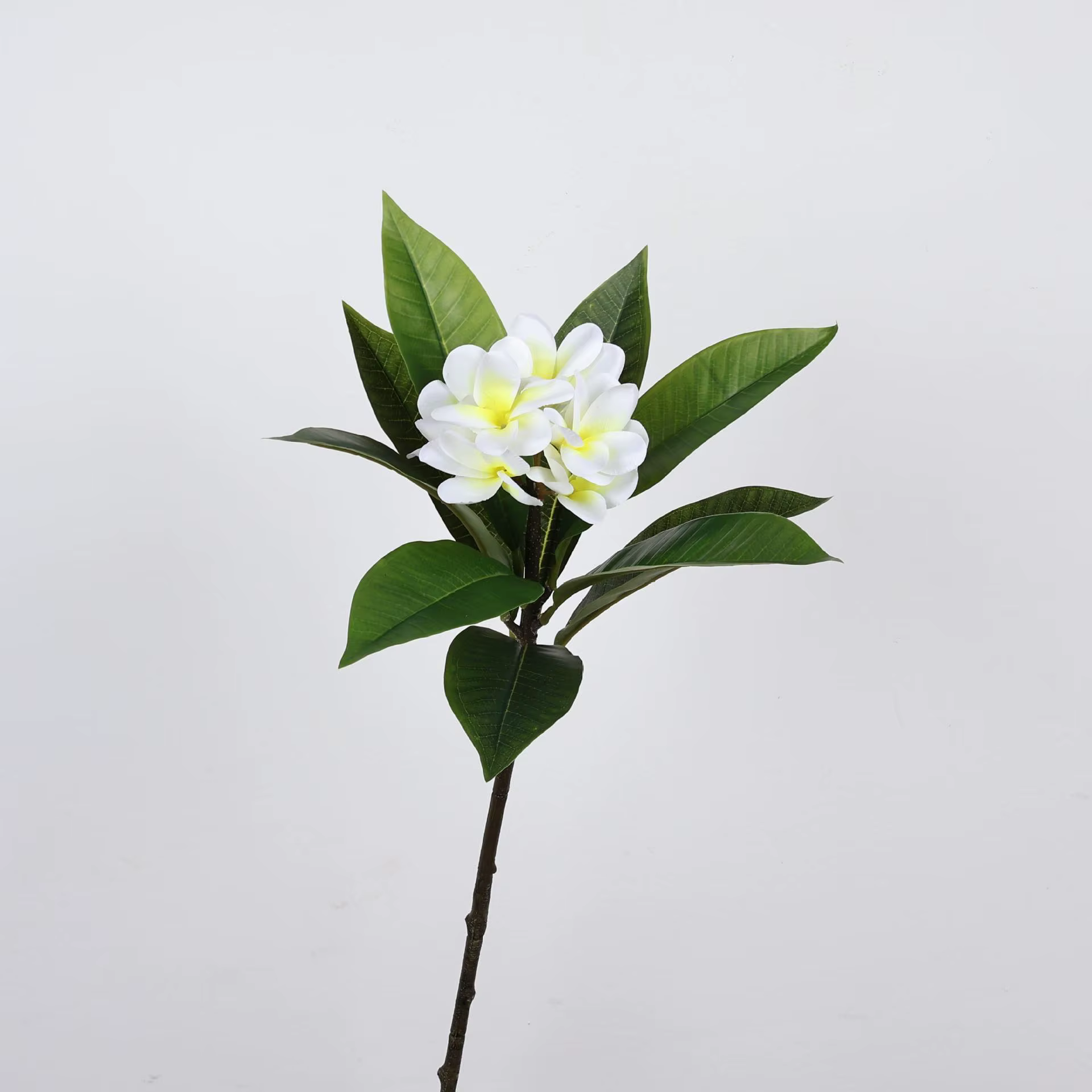 Fleurs artificielles Plumeria 35 pouces, toucher réel, tige unique, Arrangement de fausses fleurs, d