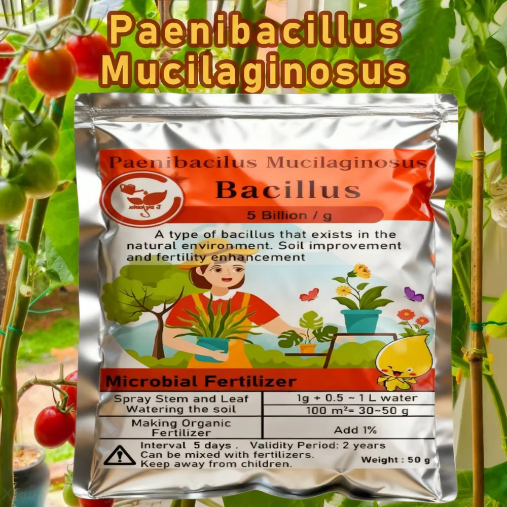 Engrais Microbien Organique Paenibacillus Mucilaginosus Bacillus 50g pour la Fertilité du Sol, la Cr