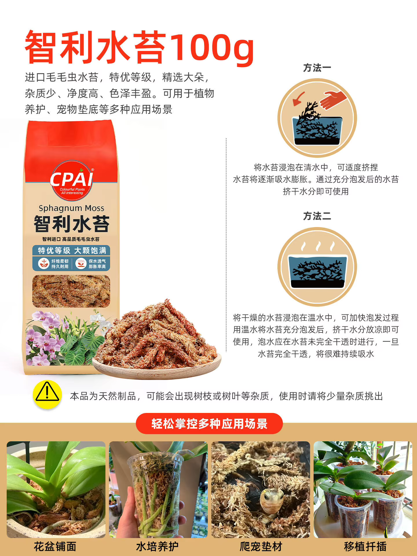Mousse de Sphagnum chilienne 100g 200g Fibres longues de qualité supérieure pour Phalaenopsis, orchi