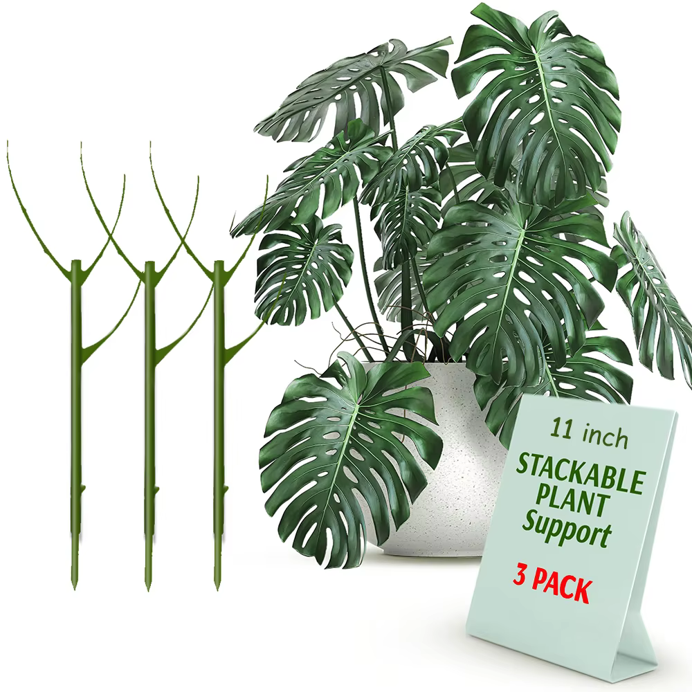 Piquets de plantes empilables pour plantes d'intérieur, 3 pièces, piquets de Support de plantes esth