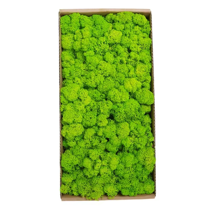 Artificial Moss Fake Moss Plant Wall Landscaping Home Decoration Diy Flower Materials Boxed Immortal