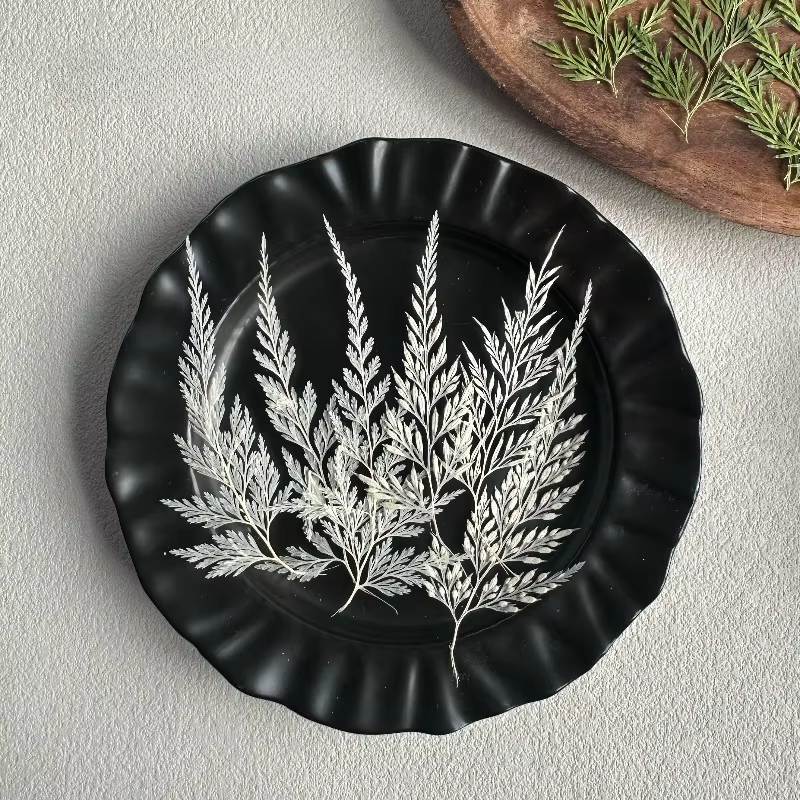 12 pièces, Véritables feuilles de Sphenomeris Chinensis séchées et pressées, Matériel pour artisanat