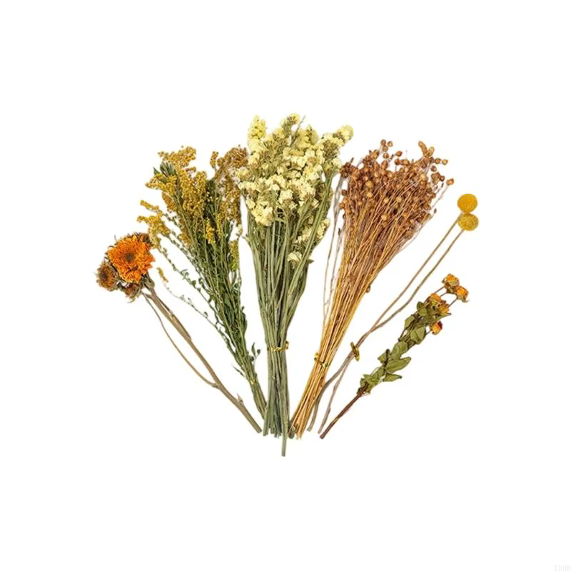 Ensemble cadeau literie florale séchée, décor Cage Hamster, habitat fleurs naturelles