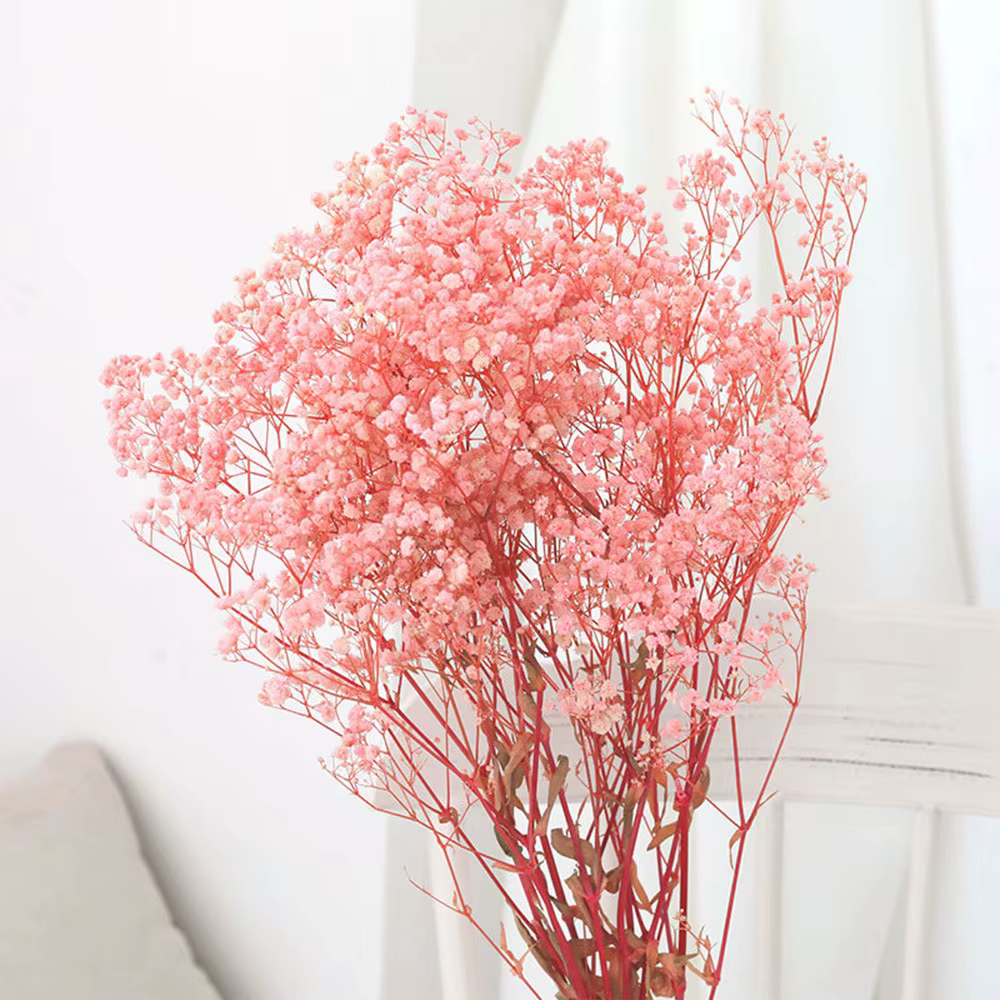 Bouquet de fleurs de gypsophile séchées naturelles, 80g, Arrangement de décoration de mariage, souff