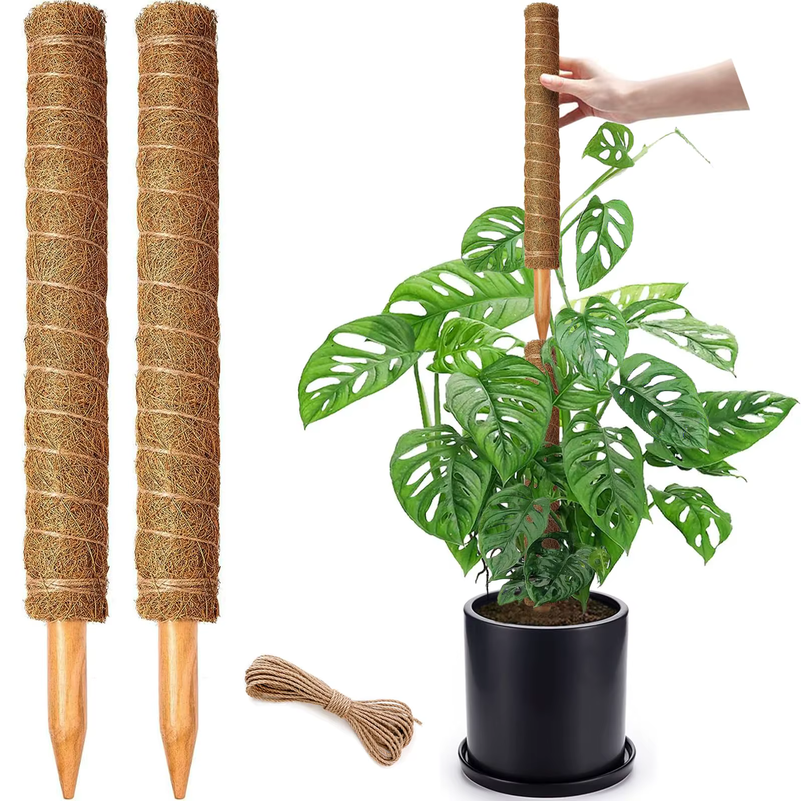 Poteau de mousse 38/43/53CM, Support de plante Monstera, poteaux de mousse empilables pour plantes,