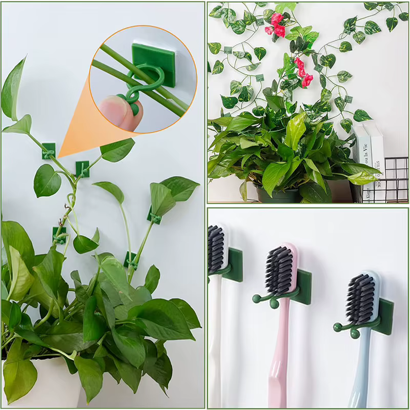 Clips de fixation murale pour plantes grimpantes, 10/30/50 pièces, fixateur de vigne en rotin, croch
