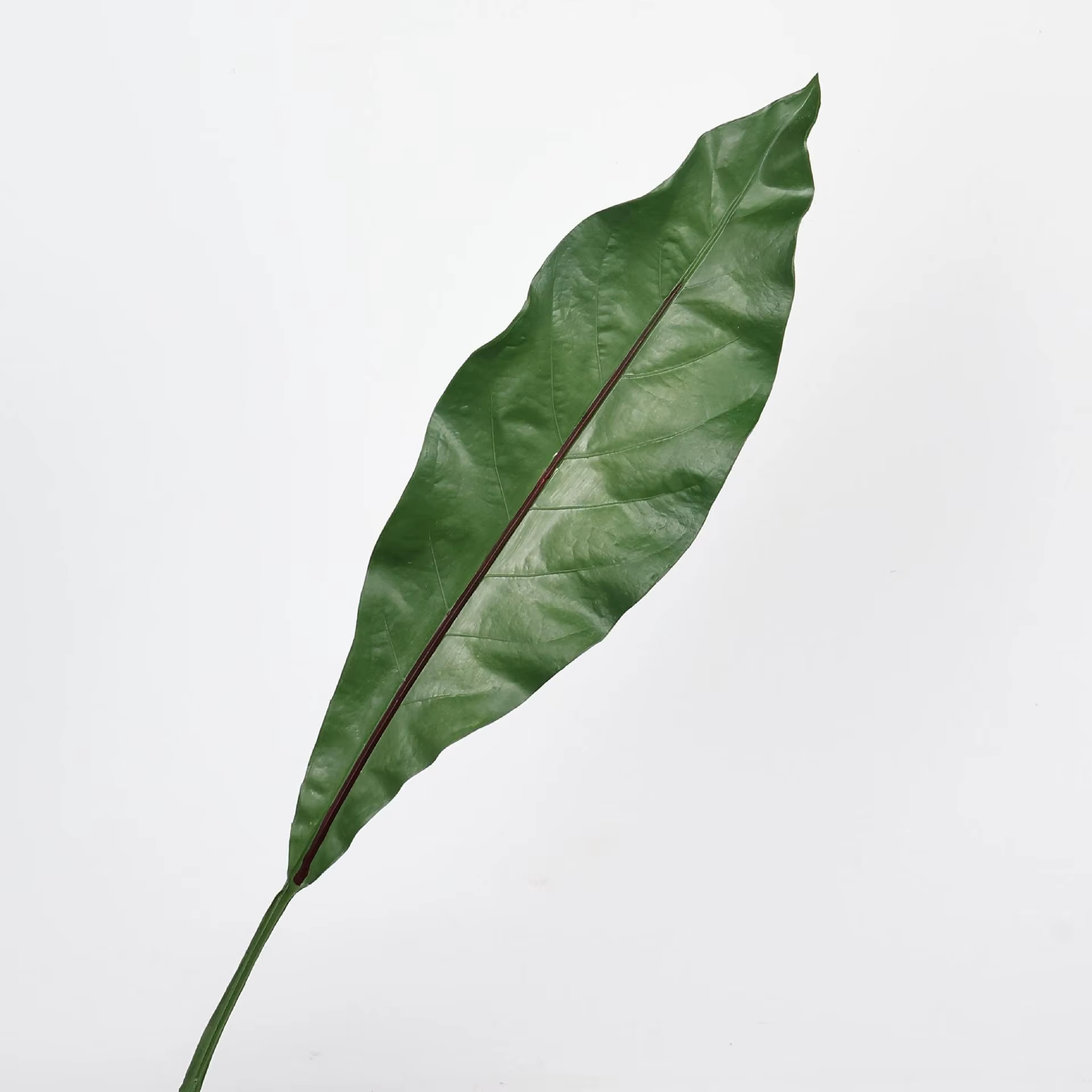 Feuille de palmier artificielle de 26 pouces, plante Areca de pluie de printemps, fausse branche ver