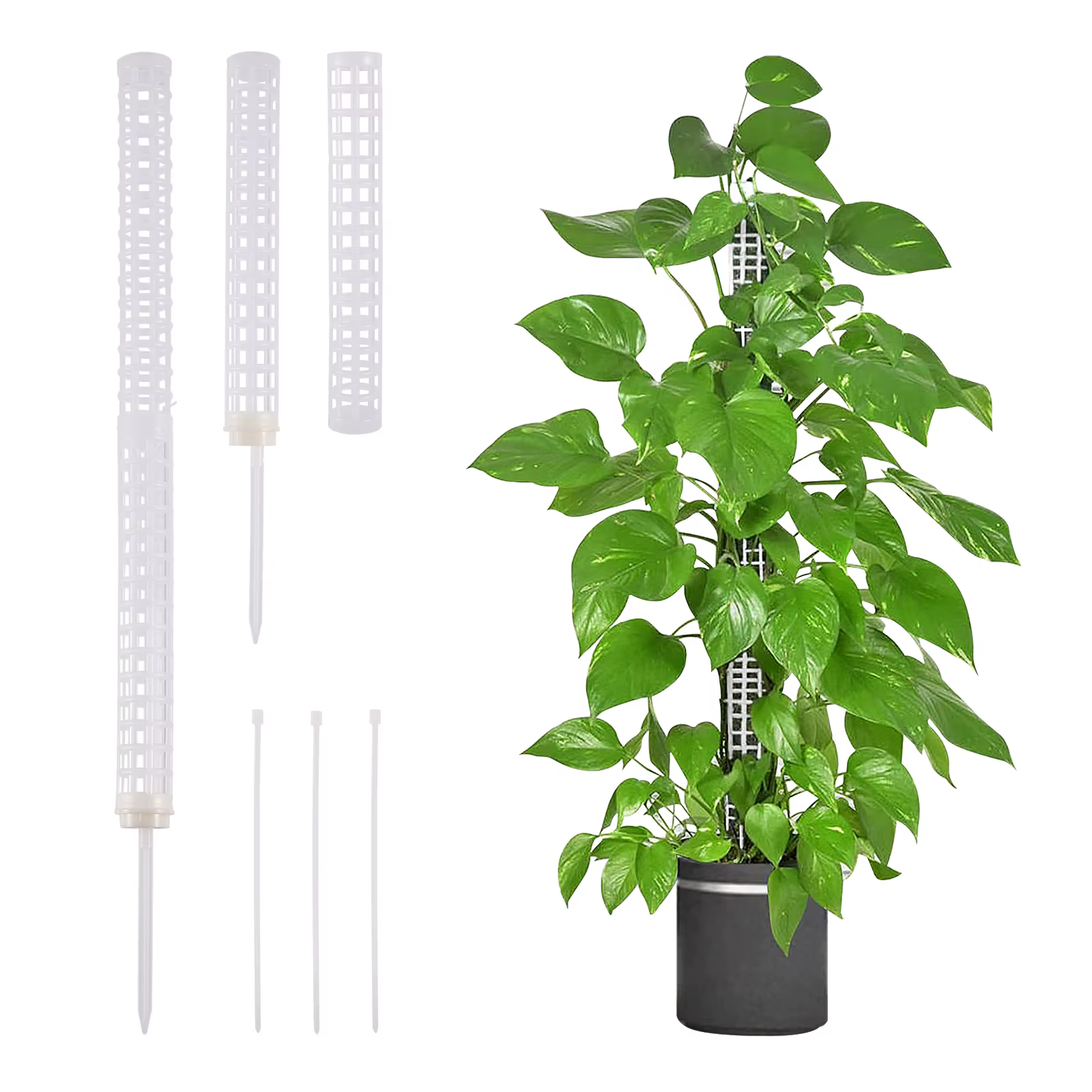 1PC plante escalade treillis empilable maille mousse pôle Monstera plastique filet stéréotypé cocoti