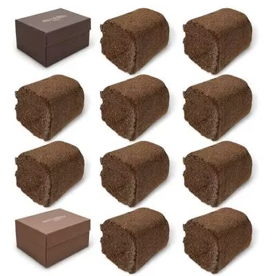 Blocs de nutriments pour plantes de pépinière, 10 pièces, haute transplantation, succès, semis de to