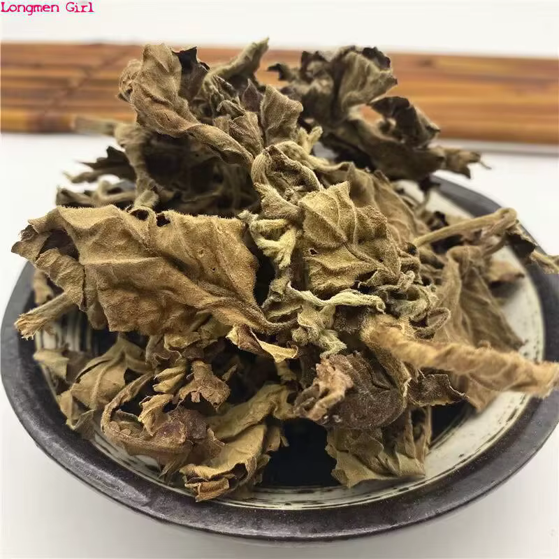 Patchouli séché naturel de haute qualité, polyvalent Guang Huo Xiang pour bricolage, savon artisanal