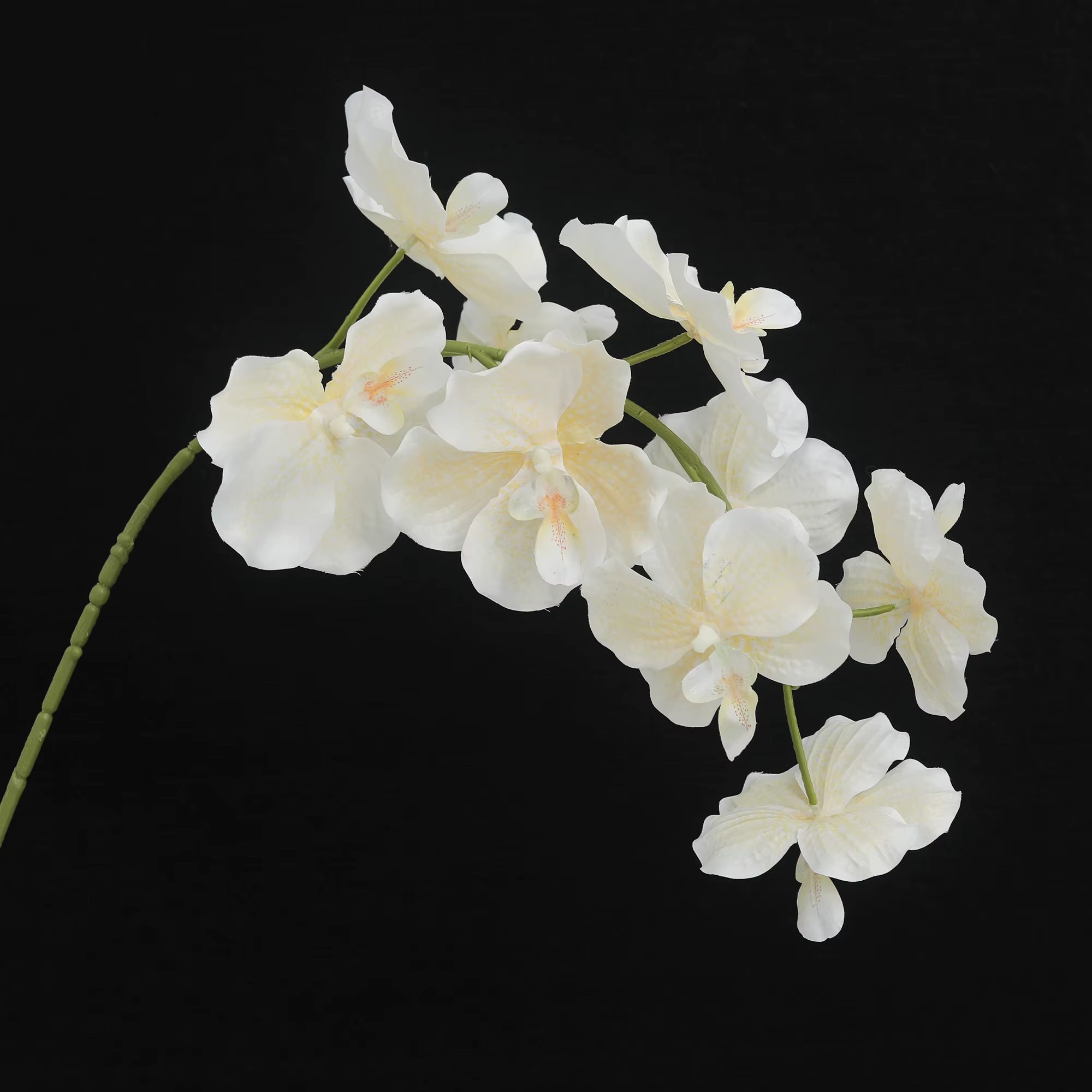 Orchidée papillon fleurs artificielles soie orchidée Phalaenopsis de haute qualité pour la maison ja