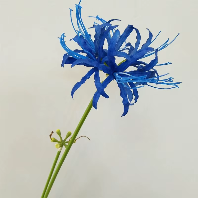 Fleur artificielle séchée pour la décoration de la maison, autre bouquet de fleurs de rivage, plante