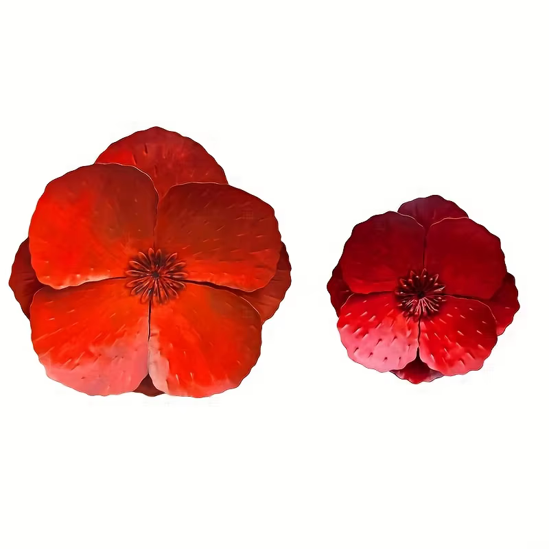 Ensemble de 2 fleurs de pavot géantes en métal rouge, décoration murale/clôture extérieure pour la m