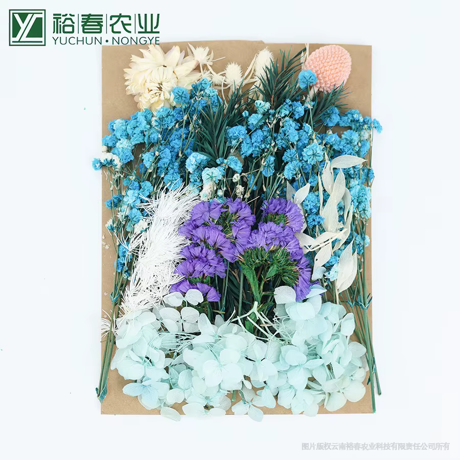 Ensemble de plantes naturelles préservées, fleurs réelles, matériaux en résine époxy, bougies artisa