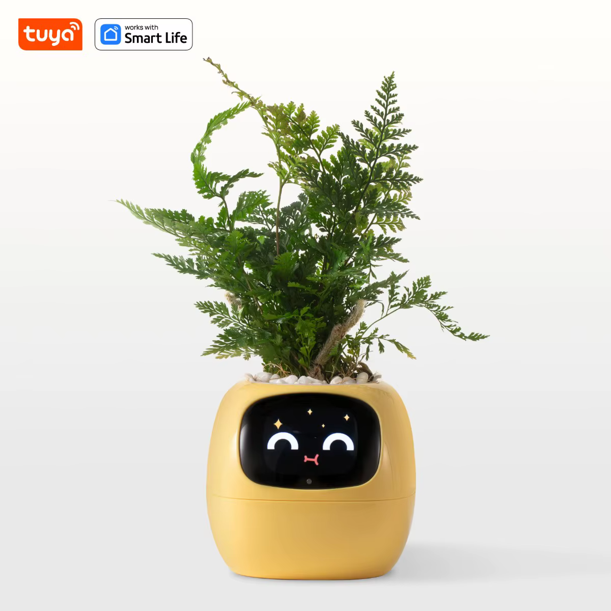 Jardinière intelligente Yellow Gen1 Ivy, plaisir sans fin avec plus de 49 expressions riches, 7 capt