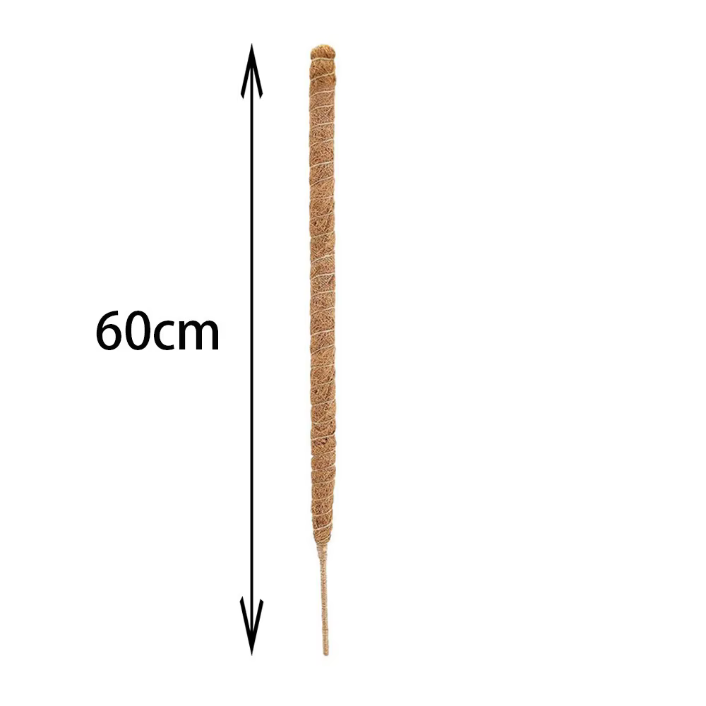 Canne à palmier pliable pour plantes grimpantes, 60/110cm, pour jardinage, canne à noix de coco, pot