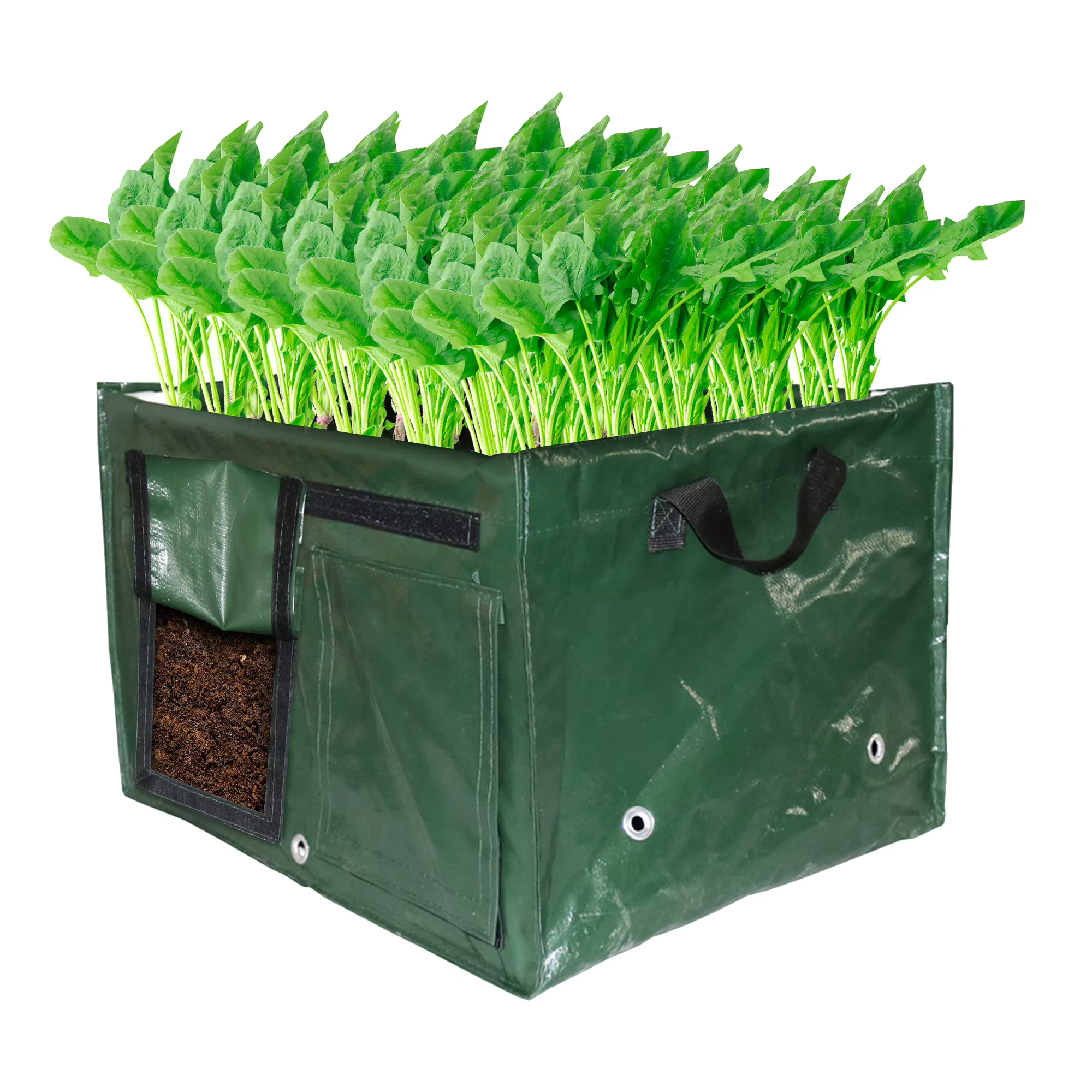 Sac de plantation pour culture de légumes et de fleurs, lit de plantation, support de plantation, sa